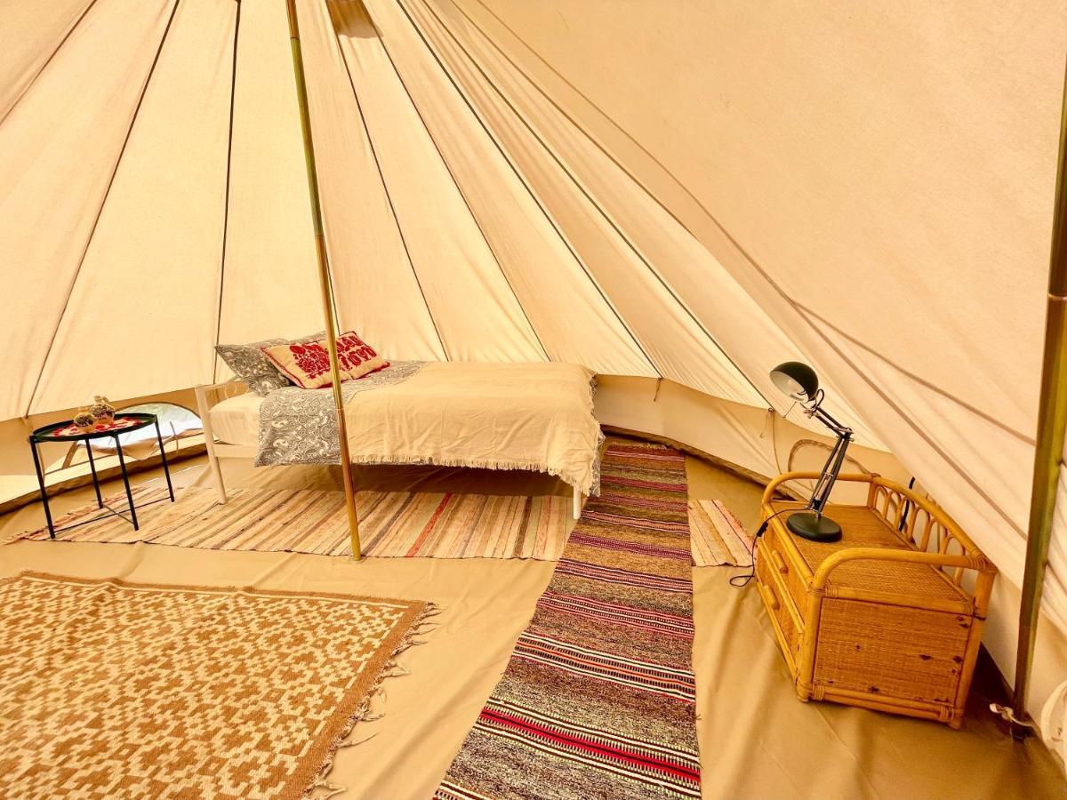 Saschiz 130/Lodging And Glamping ภายนอก รูปภาพ
