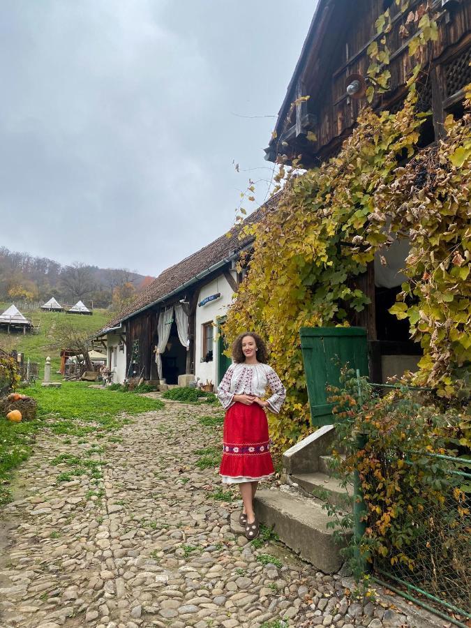 Saschiz 130/Lodging And Glamping ภายนอก รูปภาพ