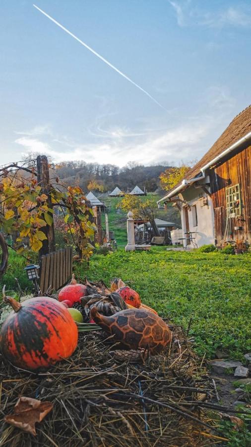 Saschiz 130/Lodging And Glamping ภายนอก รูปภาพ