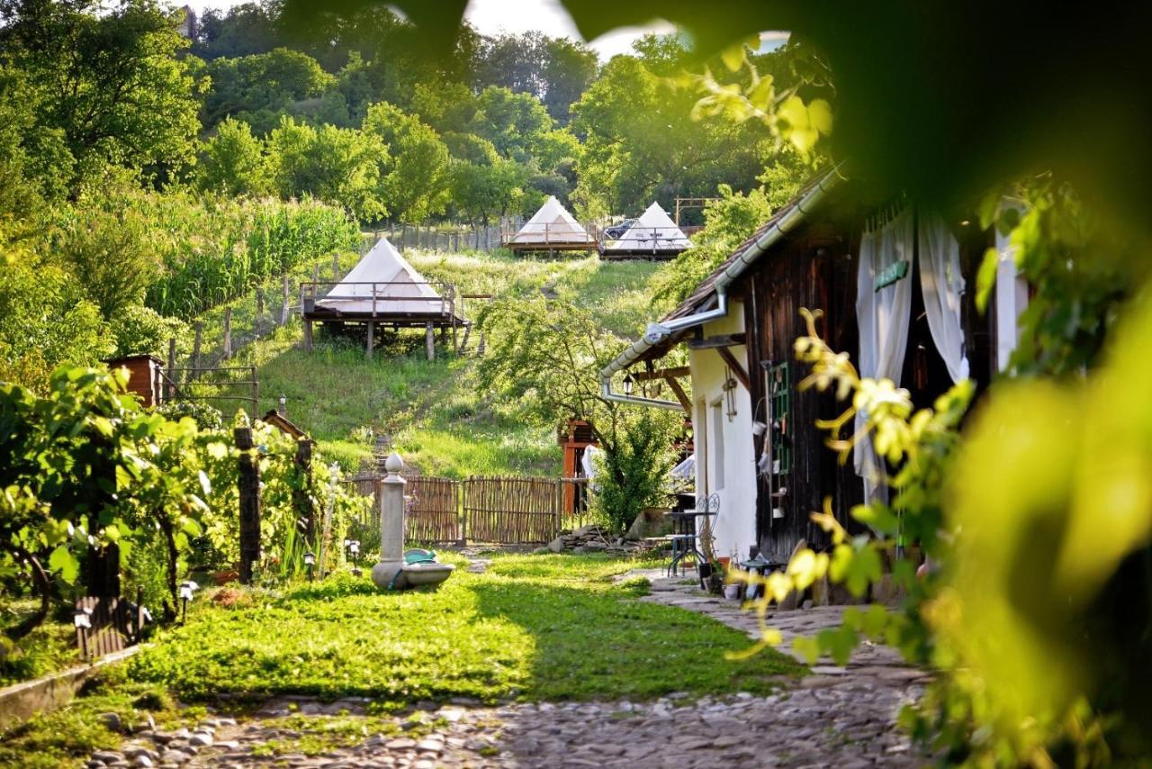 Saschiz 130/Lodging And Glamping ภายนอก รูปภาพ